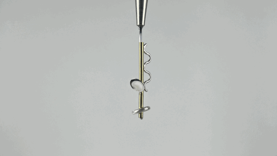 Gif showing the complete series 1.1, part of Ornamentos.